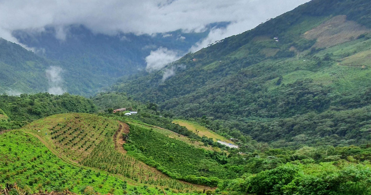 Westfalia shaping the sustainable future of food