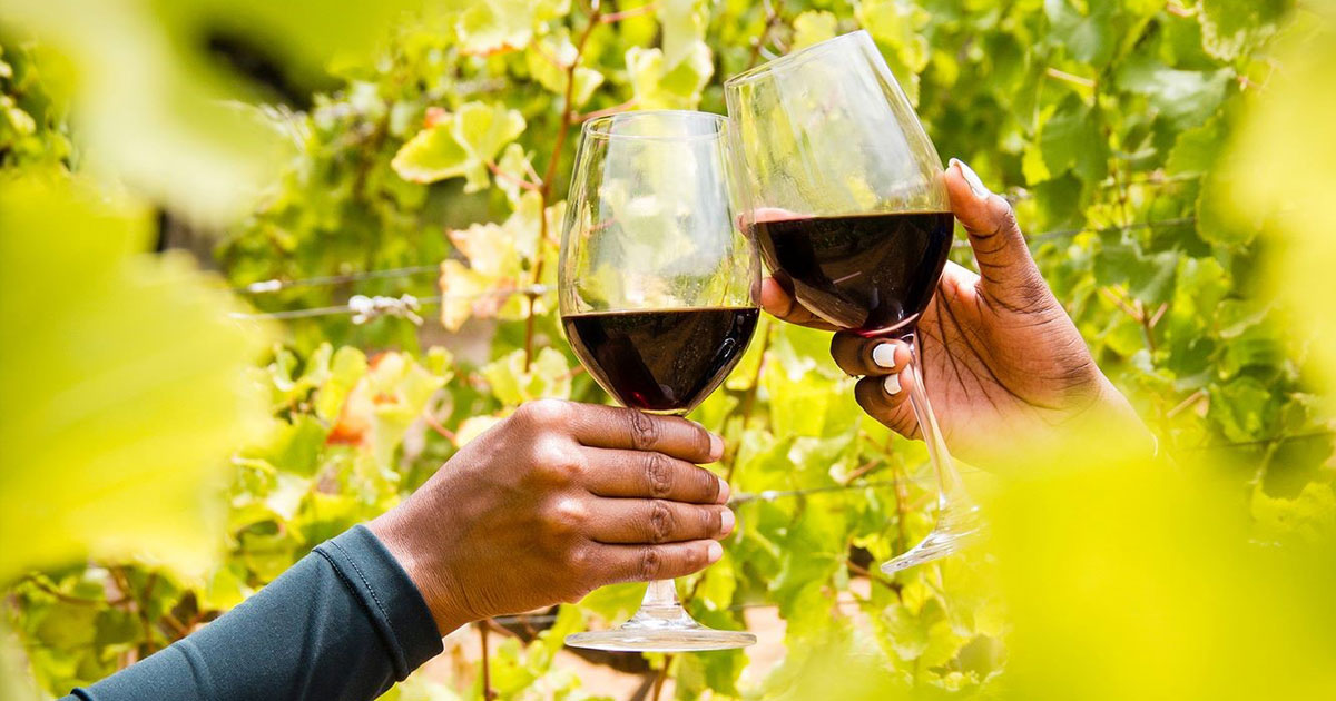 February – the month-long birthday celebration for South African wine
