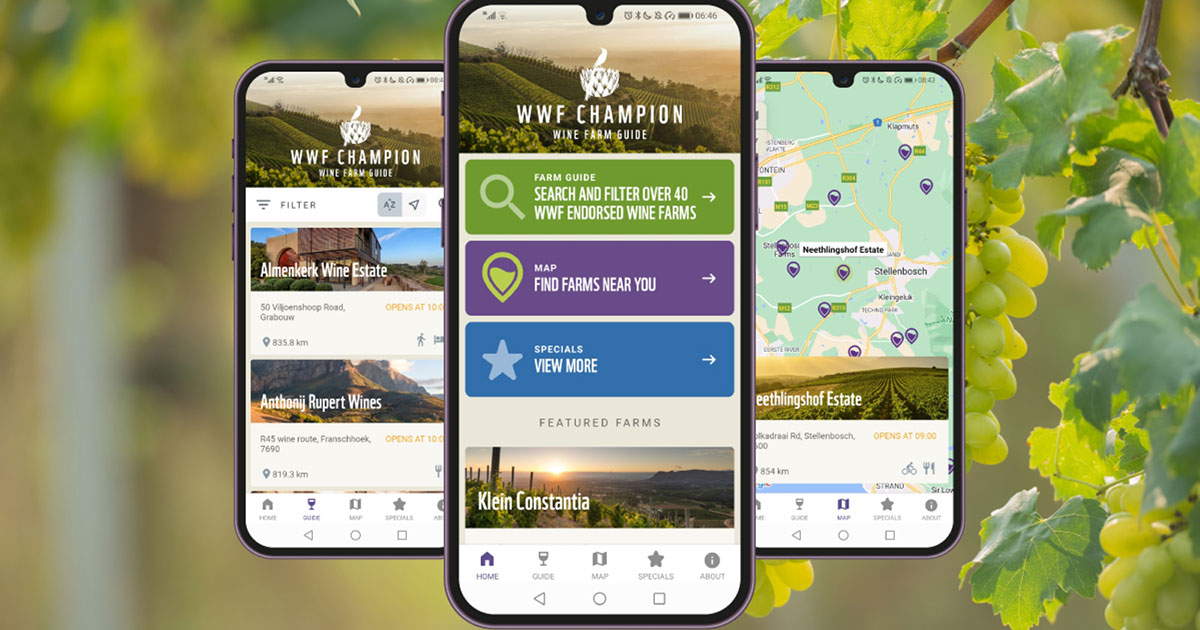 Follow the Sugarbird… the must-have app for fine wine and nature experiences in the Cape Winelands